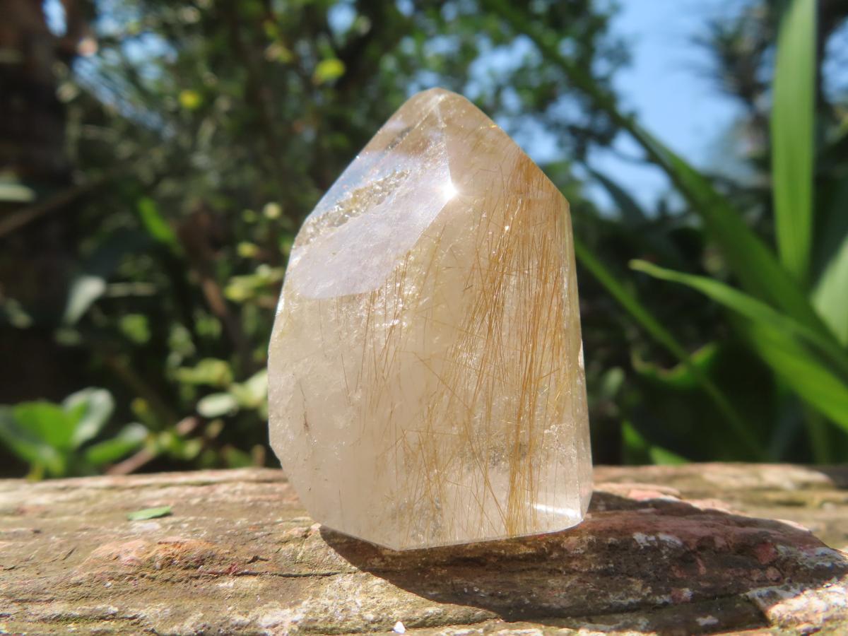 Polished Rare Golden Rutile Clear Quartz Crystal x 1 From Madagascar