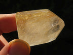 Polished Rare Golden Rutile Clear Quartz Crystal x 1 From Madagascar