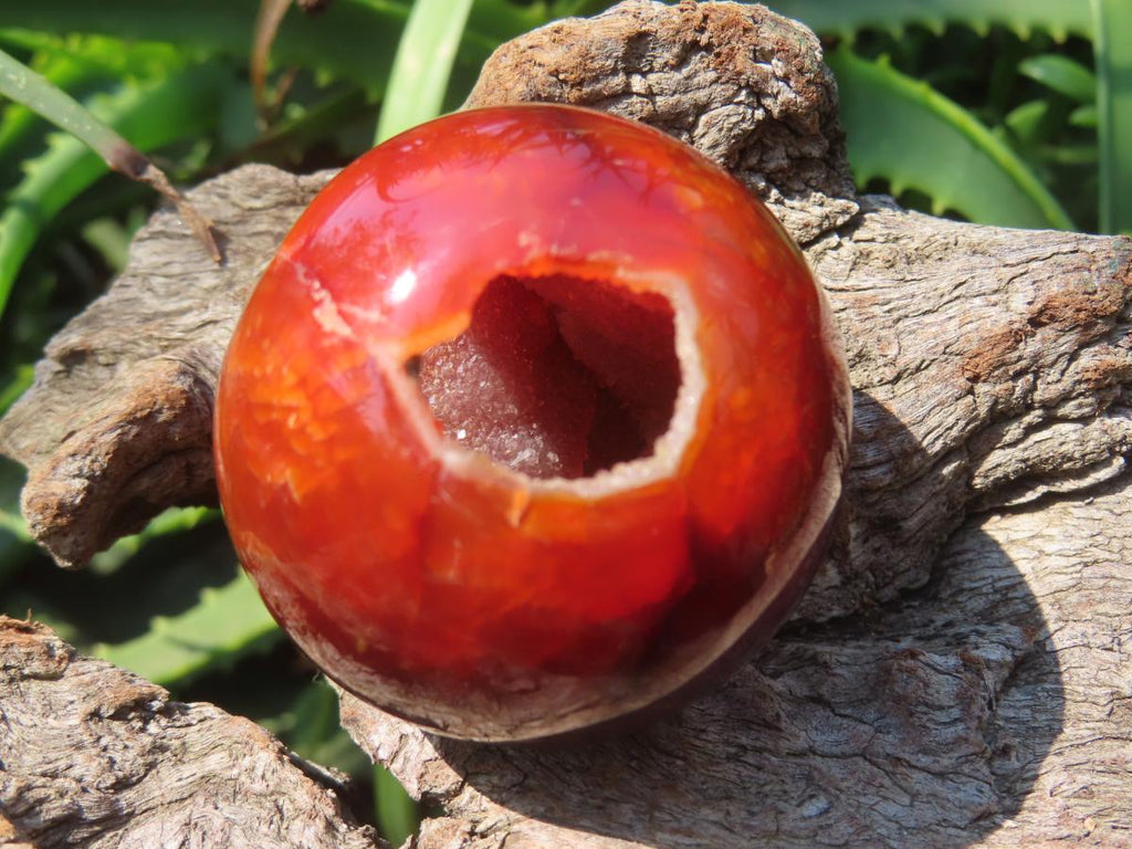 Polished Double Vug Carnelian Agate Sphere x 1 From Madagascar