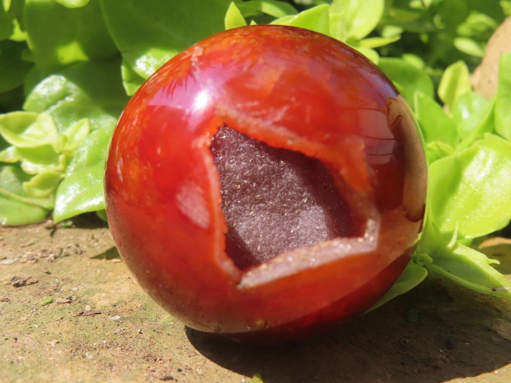 Polished Double Vug Carnelian Agate Sphere x 1 From Madagascar