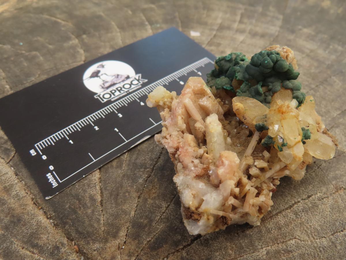 Natural Botroiydal Malachite With Orange Albite x 1 From Congo