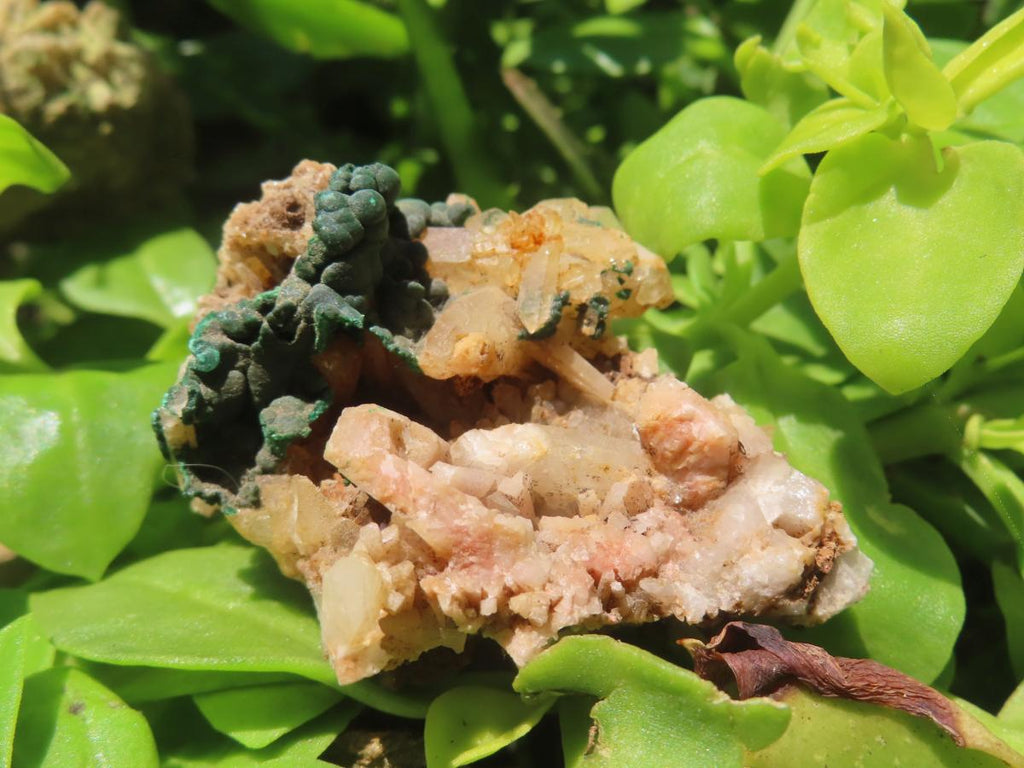 Natural Botroiydal Malachite With Orange Albite x 1 From Congo