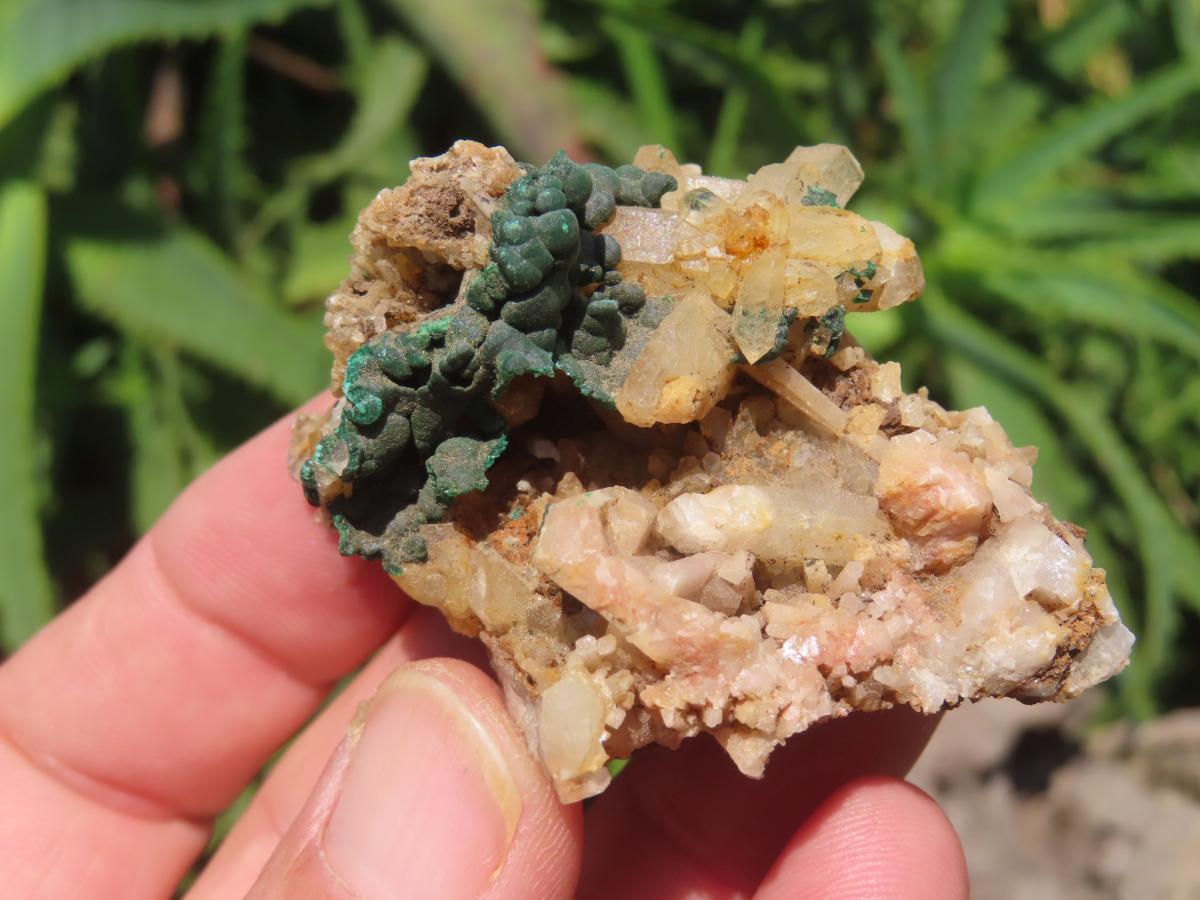 Natural Botroiydal Malachite With Orange Albite x 1 From Congo