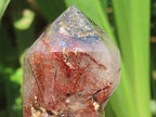 Polished Sceptre Quartz with Copper Rutile and Actinolite Inclusions x 1 From Madagascar
