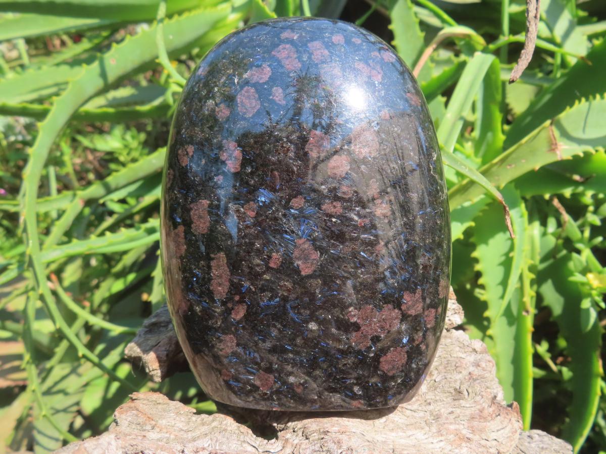 Polished Super Rare Blue Spark Iolite Standing Free Form x 1 From Betroka, Madagascar