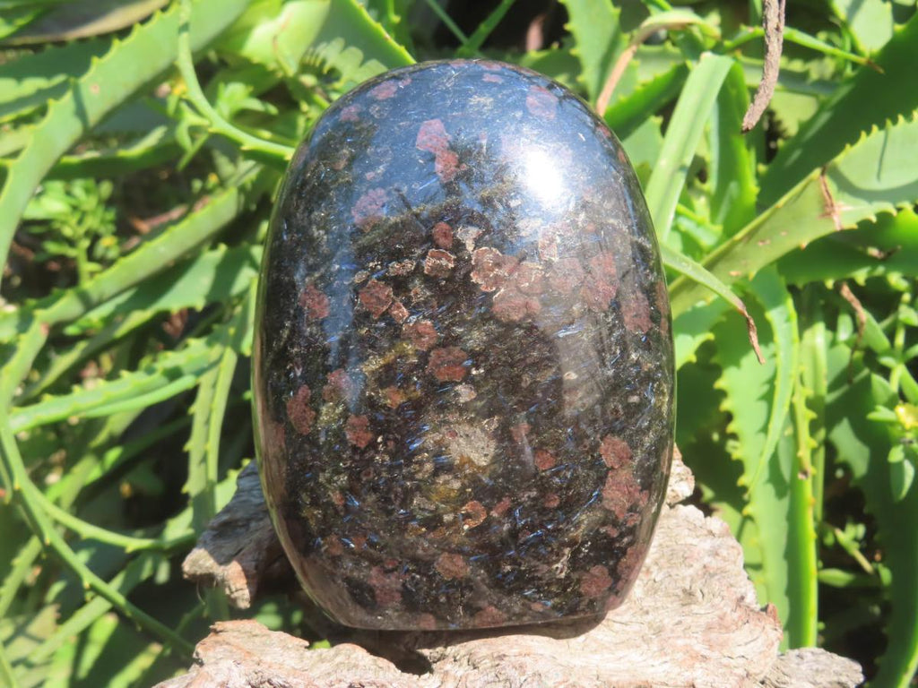 Polished Super Rare Blue Spark Iolite Standing Free Form x 1 From Betroka, Madagascar