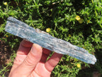 Natural XL Striated Blue Kyanite Crystal with Biotite Mica x 1 From Karoi, Zimbabwe