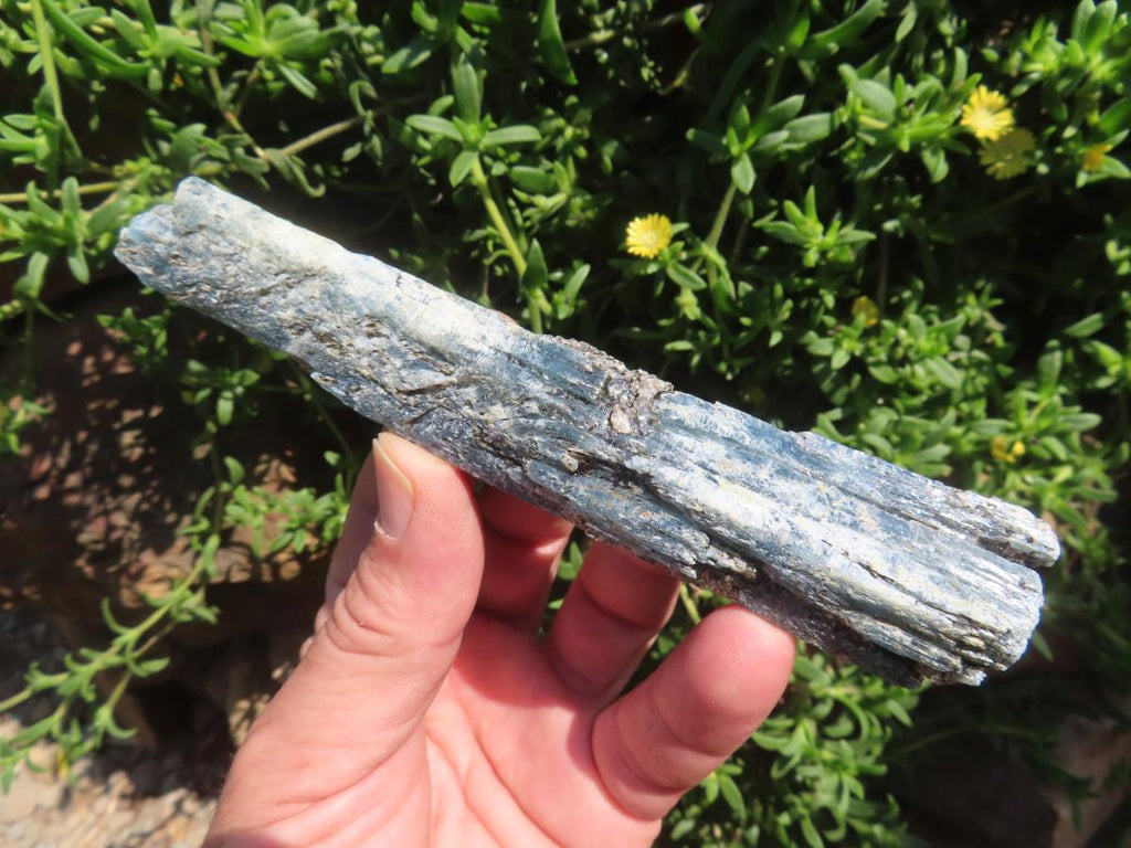 Natural XL Striated Blue Kyanite Crystal with Biotite Mica x 1 From Karoi, Zimbabwe