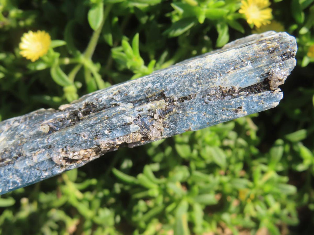Natural XL Striated Blue Kyanite Crystal with Biotite Mica x 1 From Karoi, Zimbabwe
