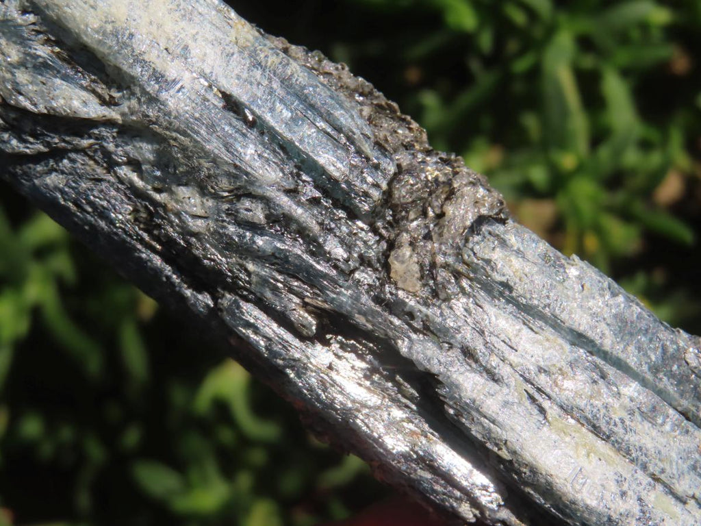 Natural XL Striated Blue Kyanite Crystal with Biotite Mica x 1 From Karoi, Zimbabwe