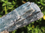 Natural XL Striated Blue Kyanite Crystal with Biotite Mica x 1 From Karoi, Zimbabwe