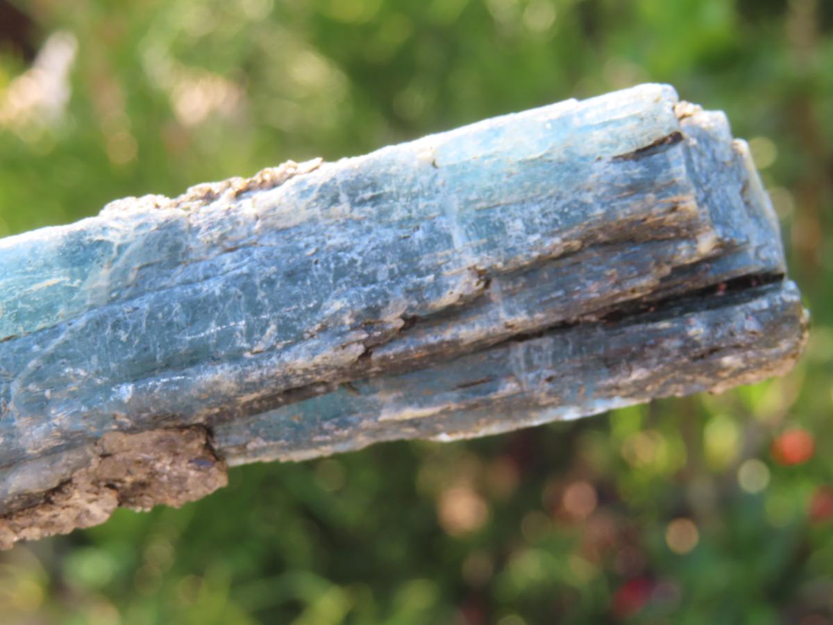 Natural XL Striated Blue Kyanite Crystal with Biotite Mica x 1 From Karoi, Zimbabwe