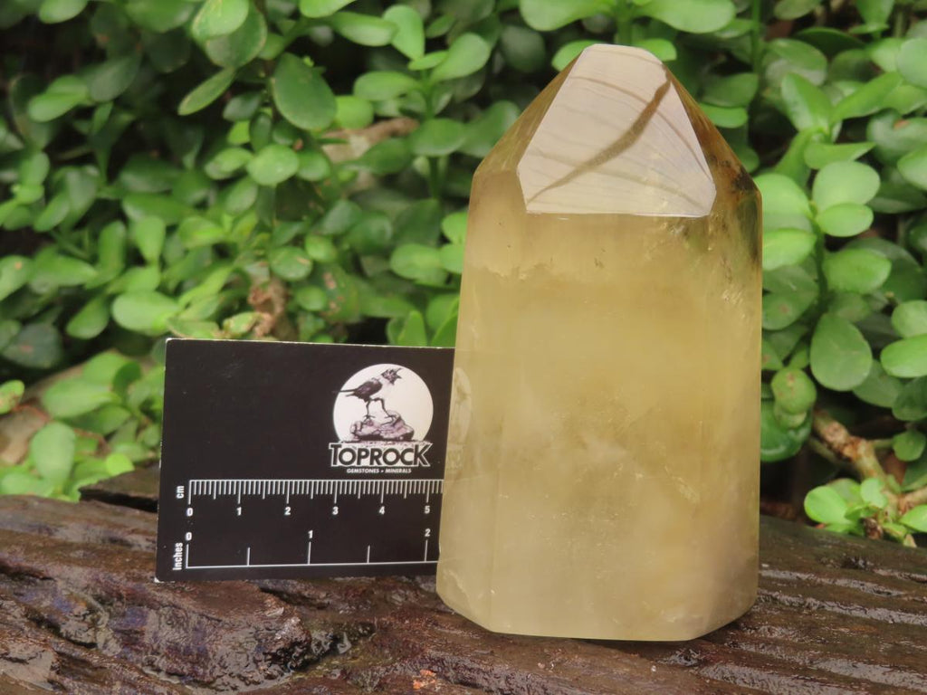 Polished Large Bright Yellow Natural Citrine Crystal x 1 From Anzojorobe, Madagascar