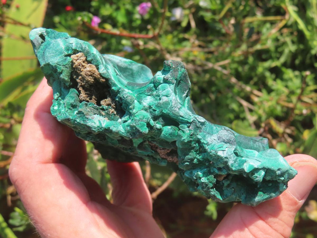 Natural Chatoyant Silky Crystalline Malachite x 1 From Kasompe, Congo