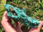 Natural Chatoyant Silky Crystalline Malachite x 1 From Kasompe, Congo