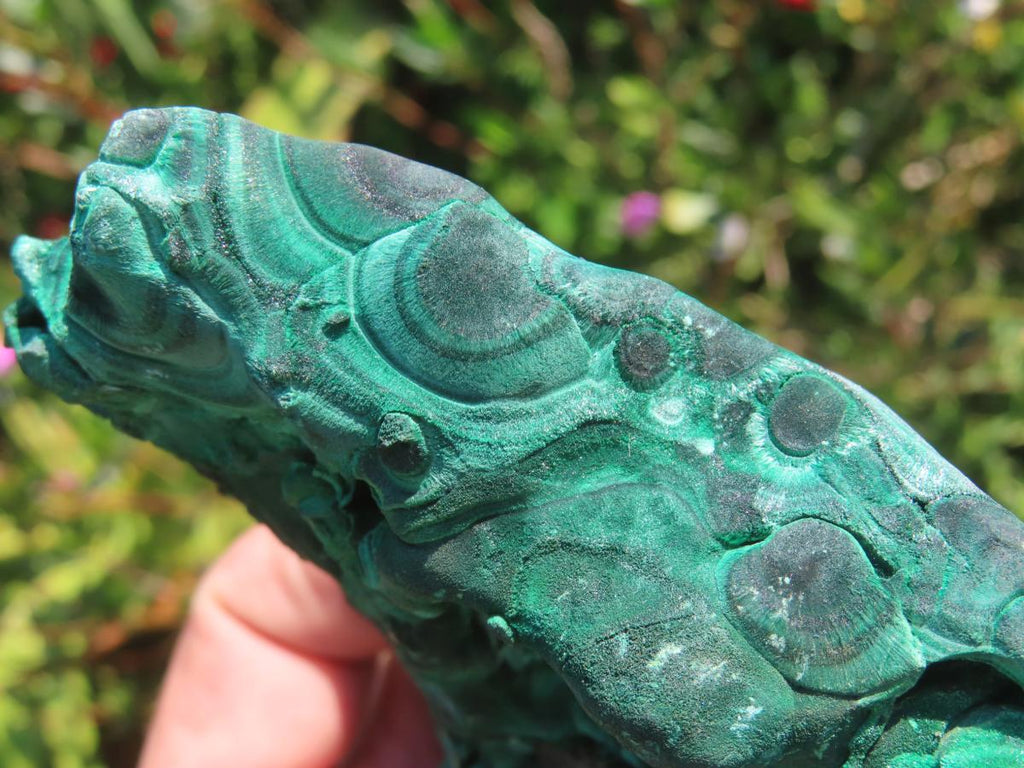 Natural Chatoyant Silky Crystalline Malachite x 1 From Kasompe, Congo