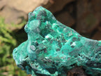 Natural Chatoyant Silky Crystalline Malachite x 1 From Kasompe, Congo