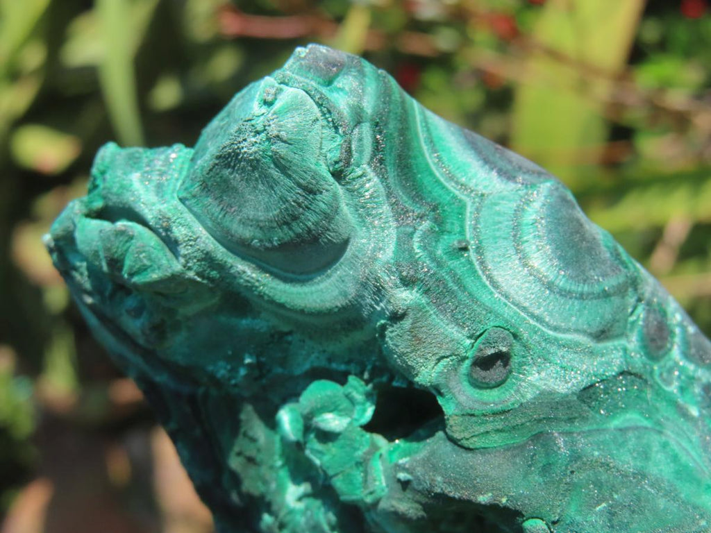 Natural Chatoyant Silky Crystalline Malachite x 1 From Kasompe, Congo