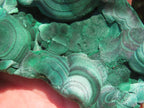Natural Chatoyant Silky Crystalline Malachite x 1 From Kasompe, Congo