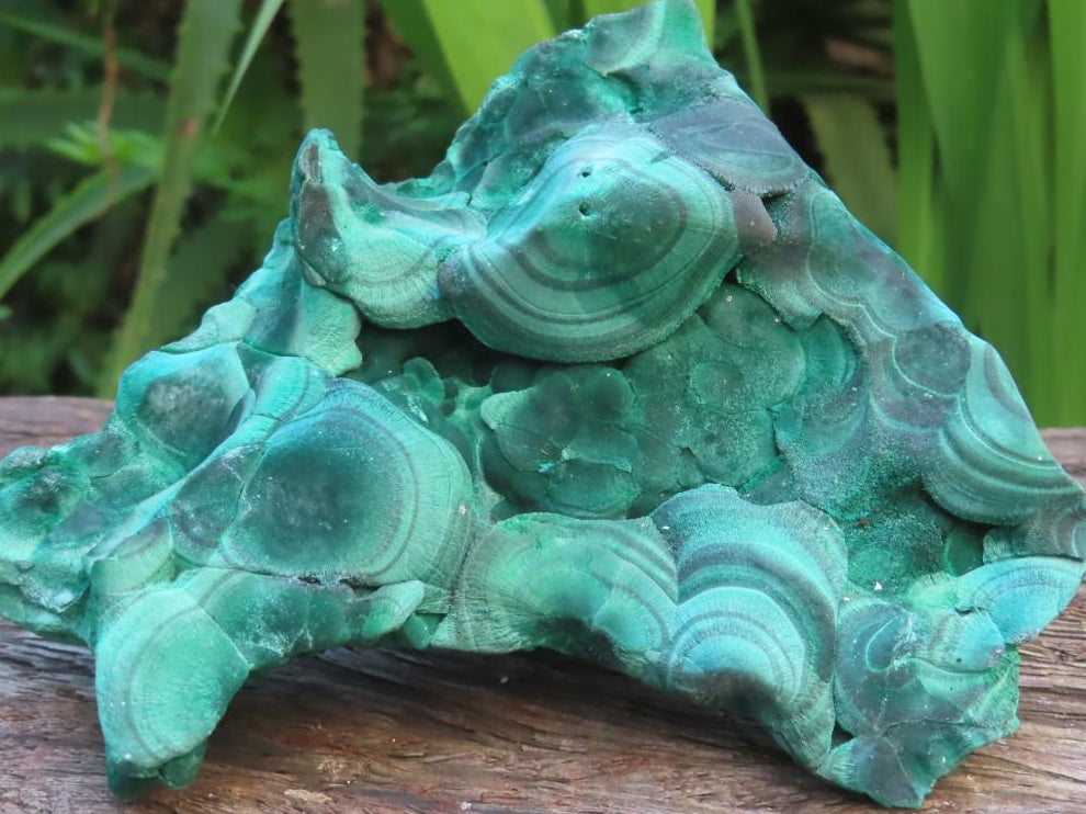 Natural Chatoyant Silky Crystalline Malachite x 1 From Kasompe, Congo