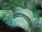 Natural Chatoyant Silky Crystalline Malachite x 1 From Kasompe, Congo