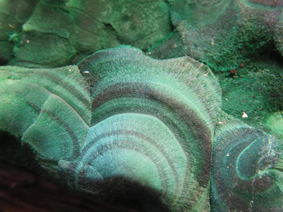 Natural Chatoyant Silky Crystalline Malachite x 1 From Kasompe, Congo