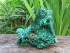 Natural Chatoyant Silky Crystalline Malachite x 1 From Kasompe, Congo