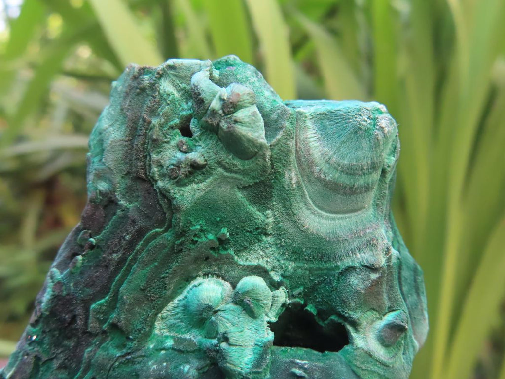 Natural Chatoyant Silky Crystalline Malachite x 1 From Kasompe, Congo