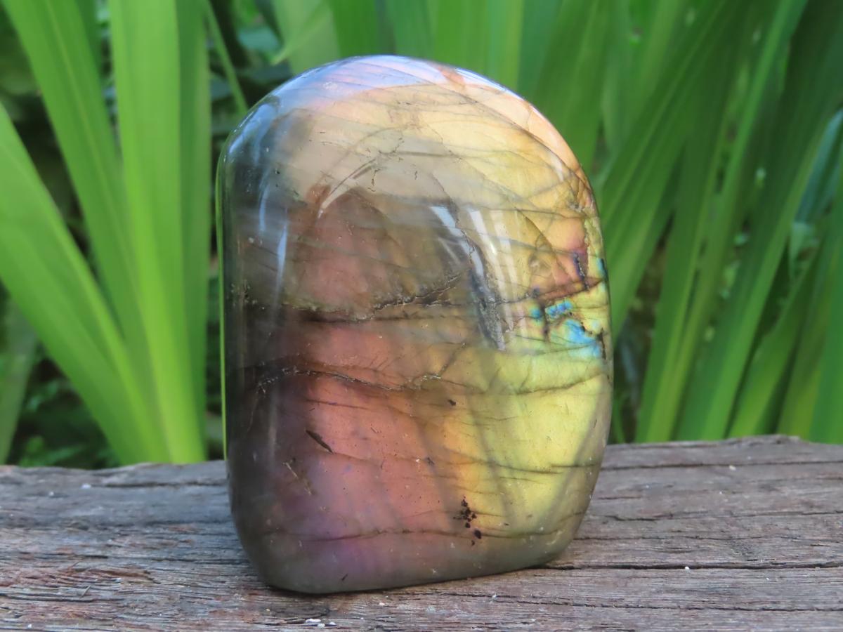 Polished Sunset Labradorite with Purple, Gold and Blue Flash x 1 From Tulear, Madagascar
