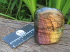 Polished Sunset Labradorite with Purple, Gold and Blue Flash x 1 From Tulear, Madagascar