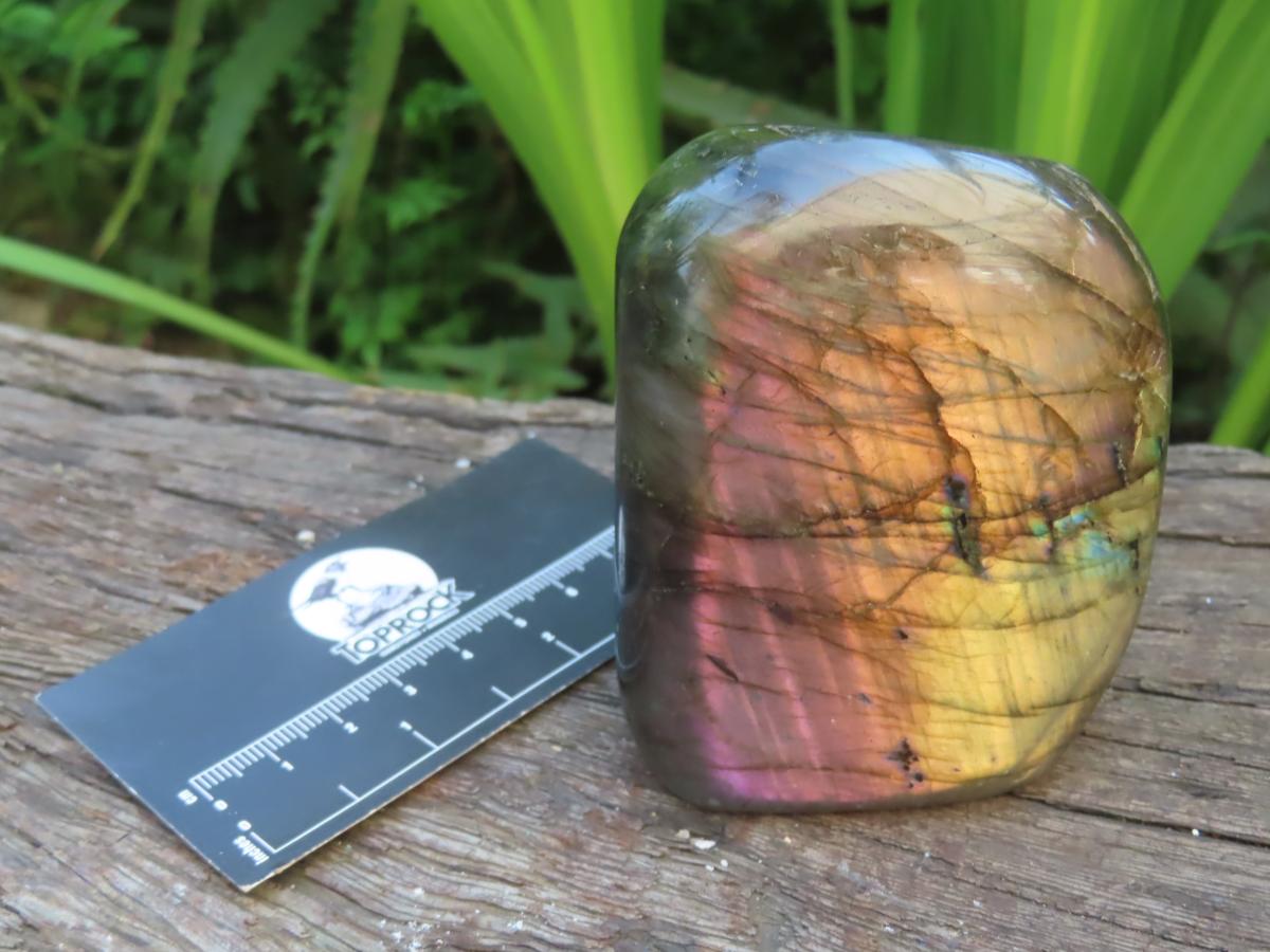 Polished Sunset Labradorite with Purple, Gold and Blue Flash x 1 From Tulear, Madagascar