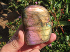 Polished Sunset Labradorite with Purple, Gold and Blue Flash x 1 From Tulear, Madagascar