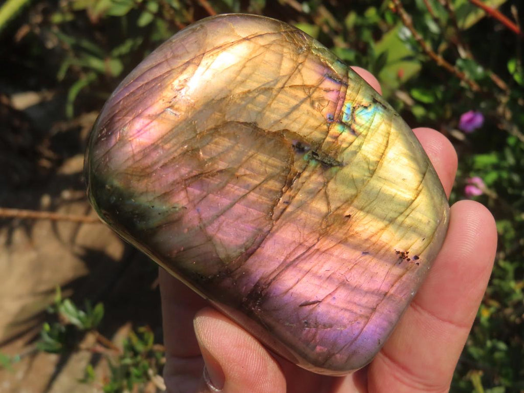 Polished Sunset Labradorite with Purple, Gold and Blue Flash x 1 From Tulear, Madagascar