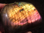 Polished Sunset Labradorite with Purple, Gold and Blue Flash x 1 From Tulear, Madagascar