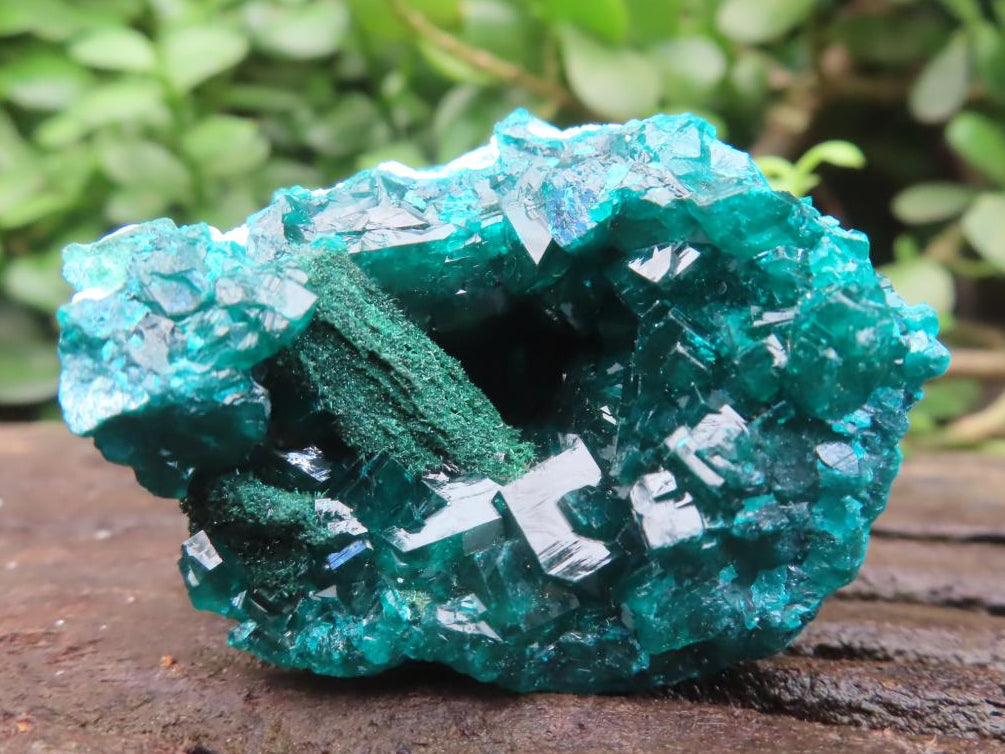 Natural Classic Dioptase Specimen with Crystalline Malachite Specimen x 1 From Likasi, Congo