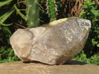 Natural Smokey Quartz with Hyalite Opal And Schorl Black Tourmaline Crystal x 1 From Erongo, Namibia