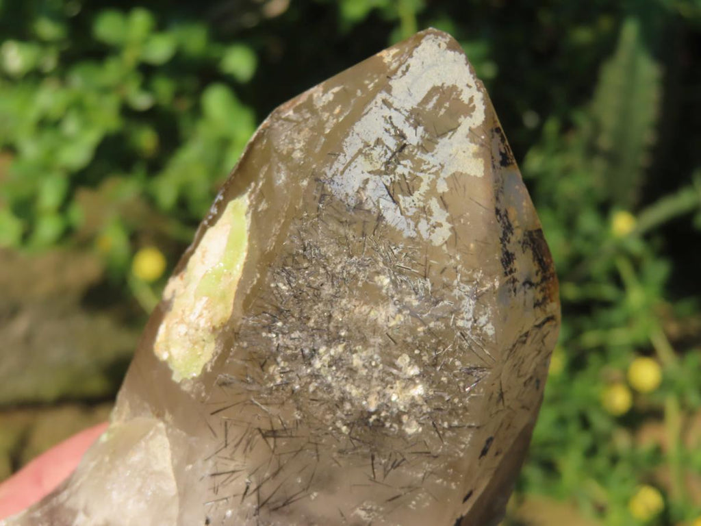 Natural Smokey Quartz with Hyalite Opal And Schorl Black Tourmaline Crystal x 1 From Erongo, Namibia
