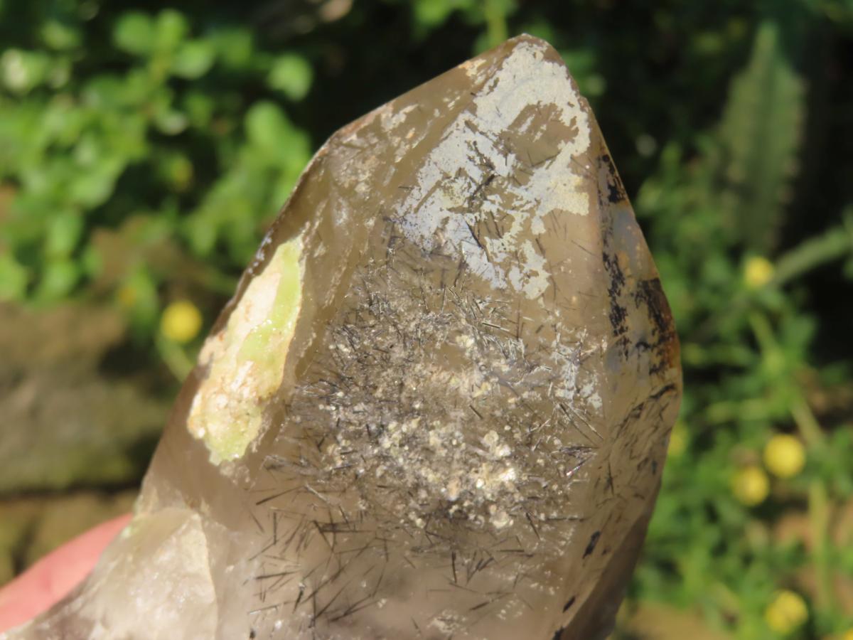 Natural Smokey Quartz with Hyalite Opal And Schorl Black Tourmaline Crystal x 1 From Erongo, Namibia