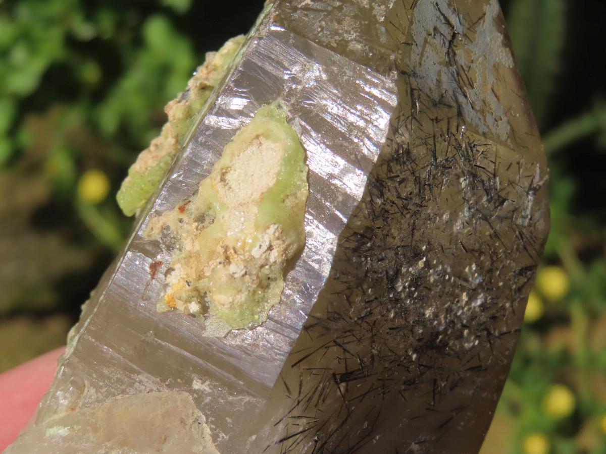 Natural Smokey Quartz with Hyalite Opal And Schorl Black Tourmaline Crystal x 1 From Erongo, Namibia
