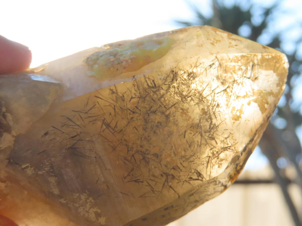 Natural Smokey Quartz with Hyalite Opal And Schorl Black Tourmaline Crystal x 1 From Erongo, Namibia