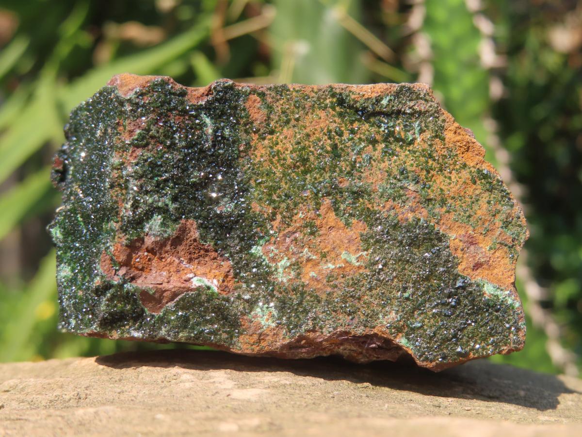 Rare Dark Green Libethenite in a Ferro-Copper Matrix x 1 From Congo