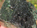 Rare Dark Green Libethenite in a Ferro-Copper Matrix x 1 From Congo