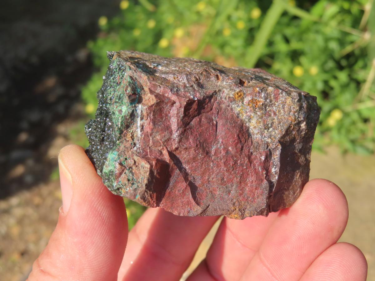 Rare Dark Green Libethenite in a Ferro-Copper Matrix x 1 From Congo