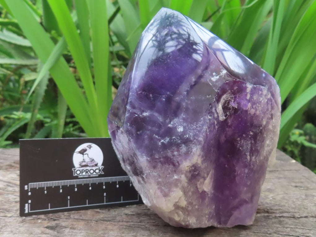 Large Polished Gemmy Dark Purple Amethyst Crystal x 1 From Angola