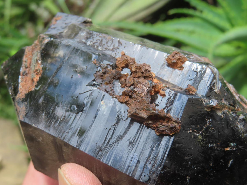 Natural Super Shiny Double Terminated Large Morion Smokey Quartz Crystal x 1 From Zomba, Malawi