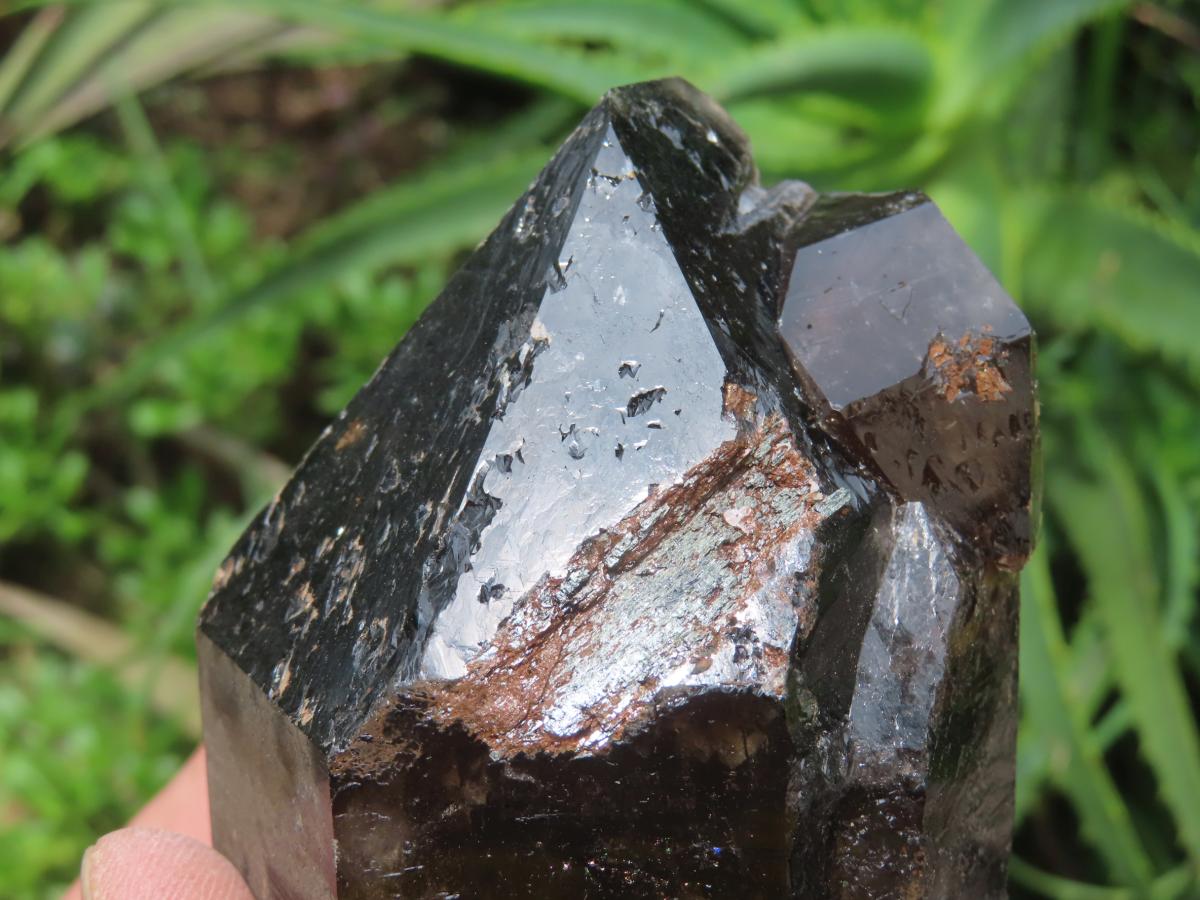 Natural Super Shiny Double Terminated Large Morion Smokey Quartz Crystal x 1 From Zomba, Malawi