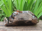 Natural Super Shiny Double Terminated Large Morion Smokey Quartz Crystal x 1 From Zomba, Malawi