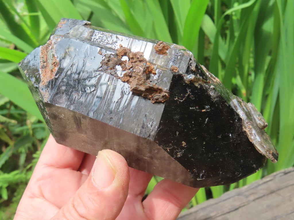 Natural Super Shiny Double Terminated Large Morion Smokey Quartz Crystal x 1 From Zomba, Malawi