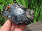 Natural Super Shiny Double Terminated Large Morion Smokey Quartz Crystal x 1 From Zomba, Malawi