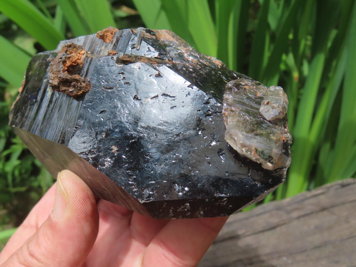 Natural Super Shiny Double Terminated Large Morion Smokey Quartz Crystal x 1 From Zomba, Malawi